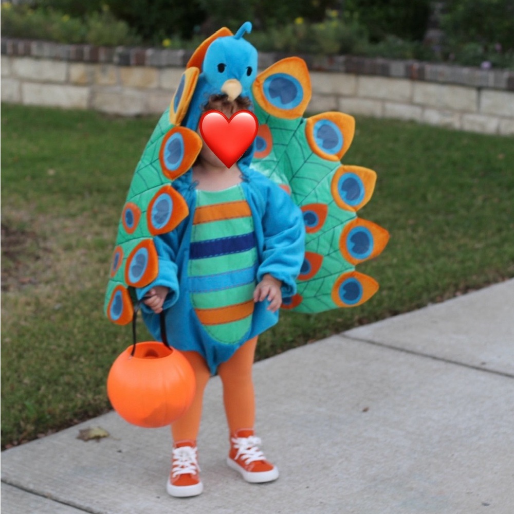 Blue and Orange Peacock Halloween Costume with Vibrant Tail 2T